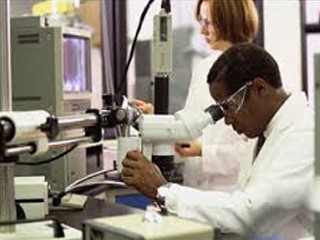 Biomedical Engineering - Image